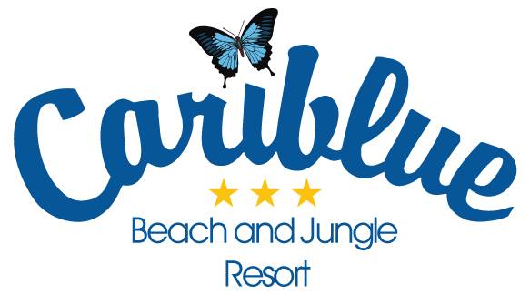 Accommodation Logo