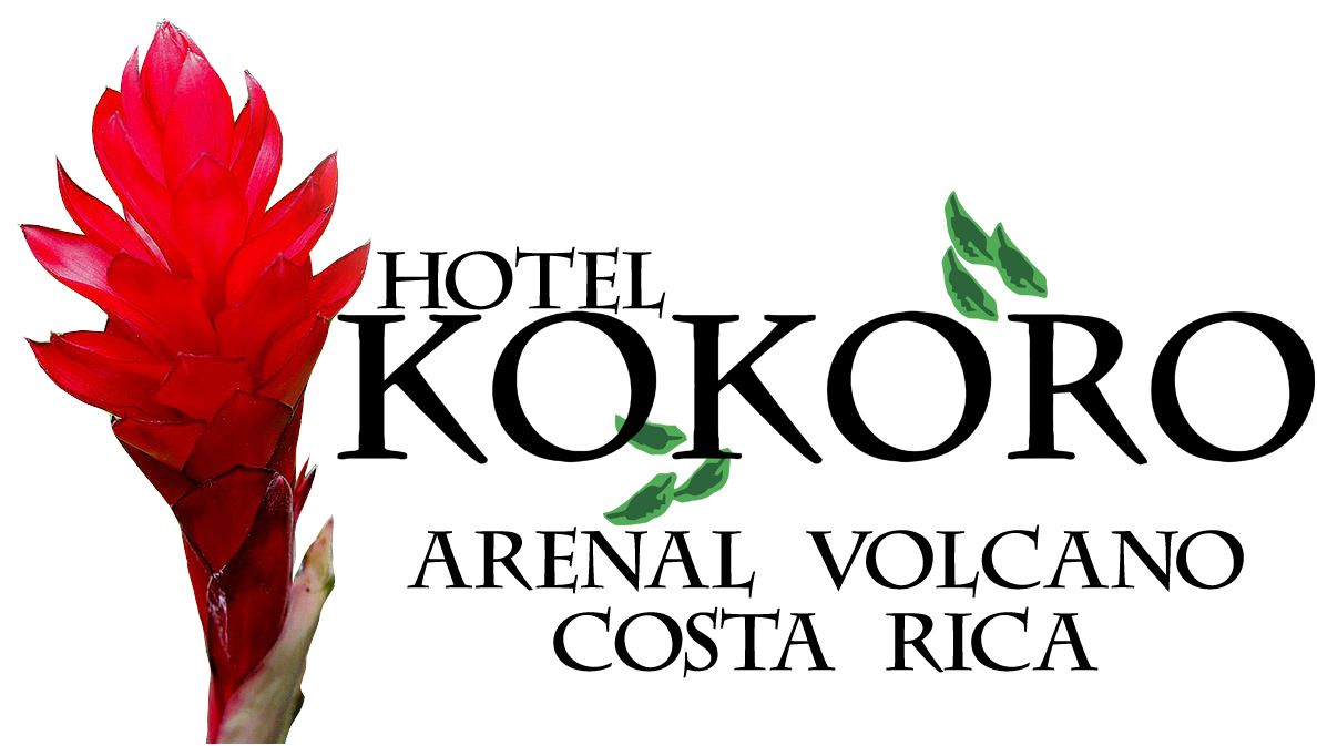 Accommodation Logo