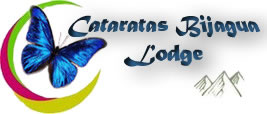 Accommodation Logo