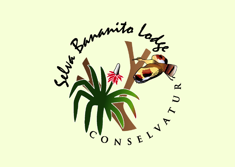 Accommodation Logo