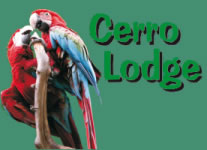 Accommodation Logo