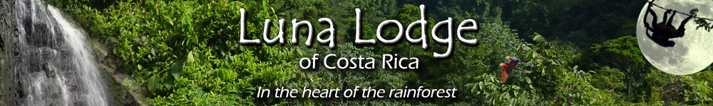 Accommodation Logo