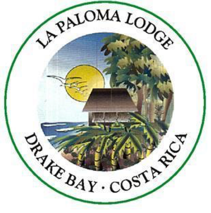Accommodation Logo