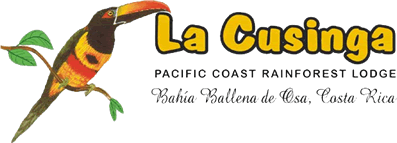 Accommodation Logo
