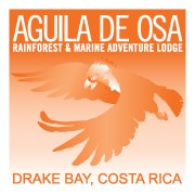 Accommodation Logo
