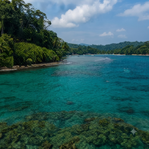 Manuel Antonio National Park & Beaches